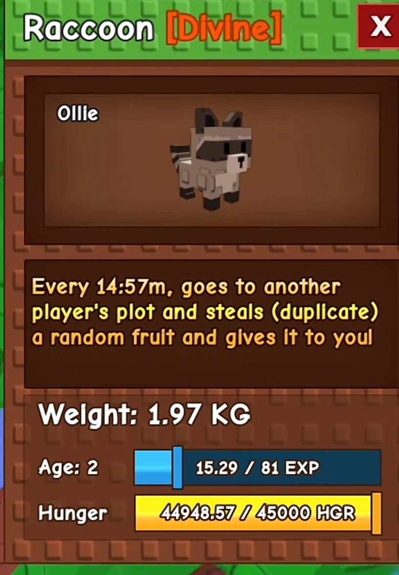1x RACCOON