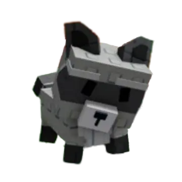 1x RACCOON